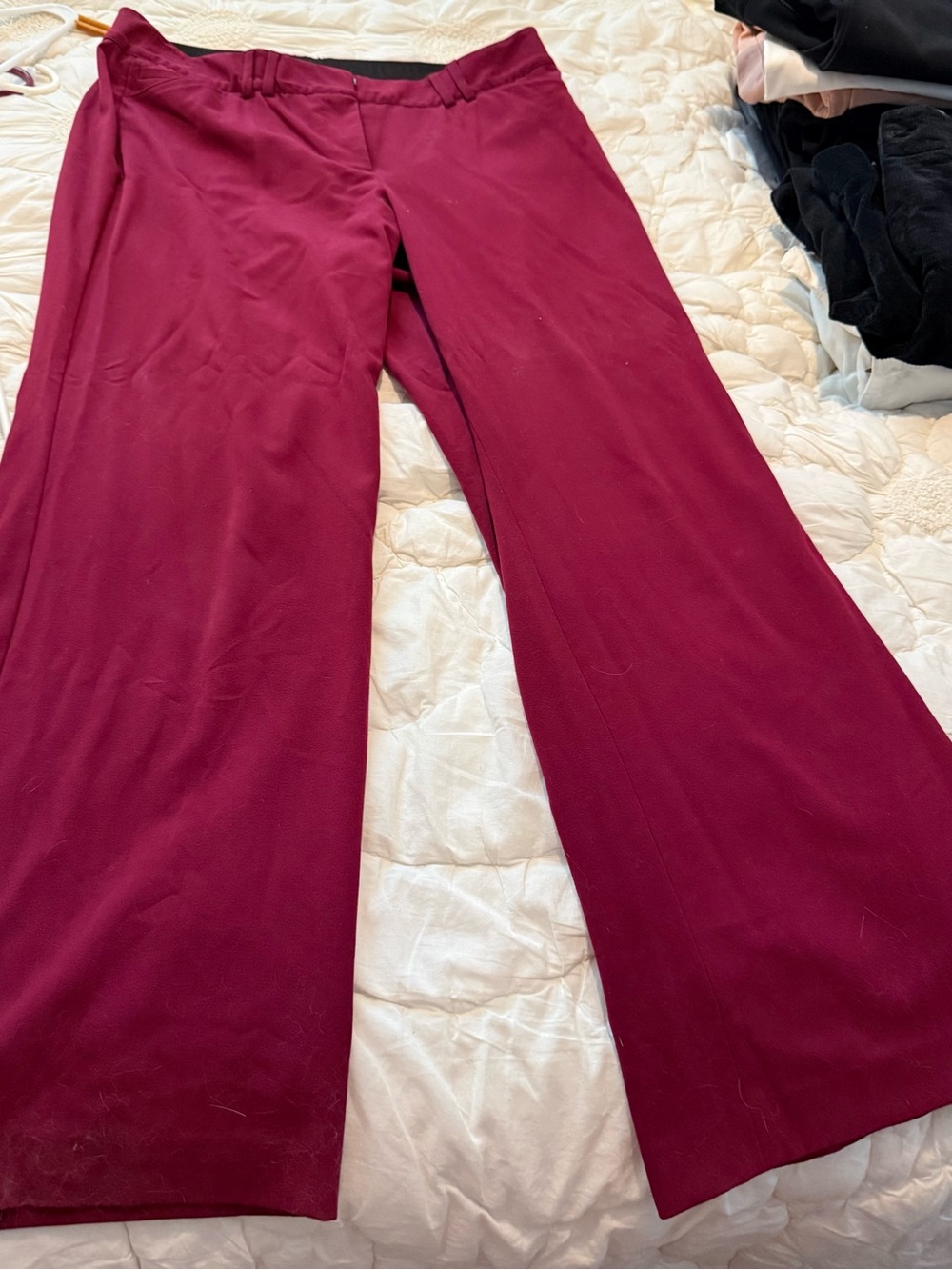 Lane Bryant Burgundy Boot-Cut Pants